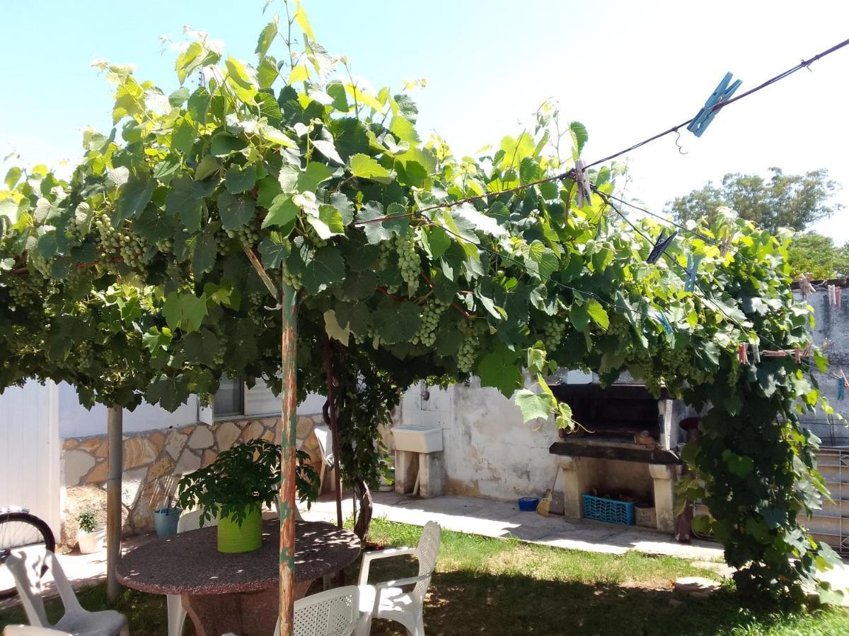 Сasa de vacaciones La Casa De La Parra